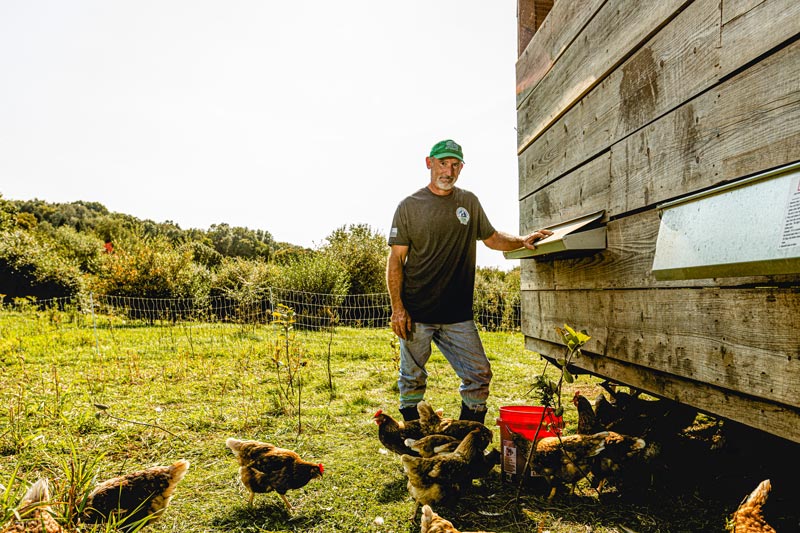 man feeding chickens