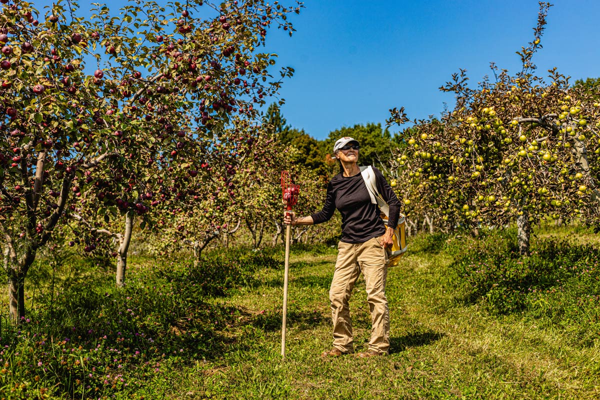 Joanne Charon stands in orchard