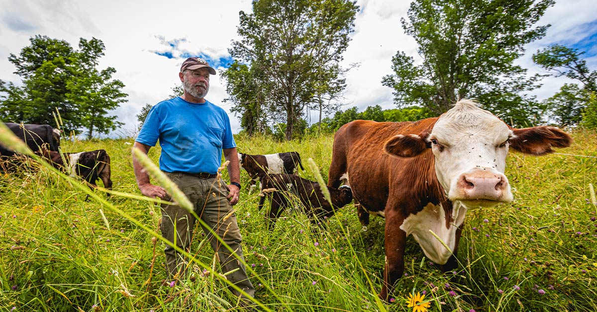man with beef cattle
