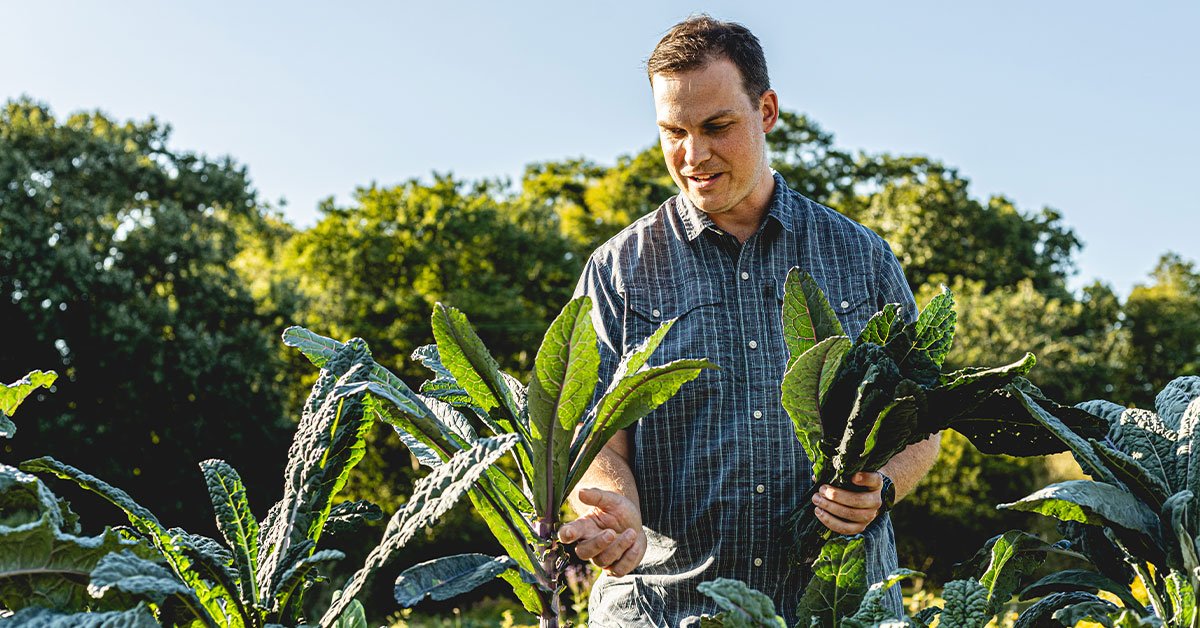 man picking greens